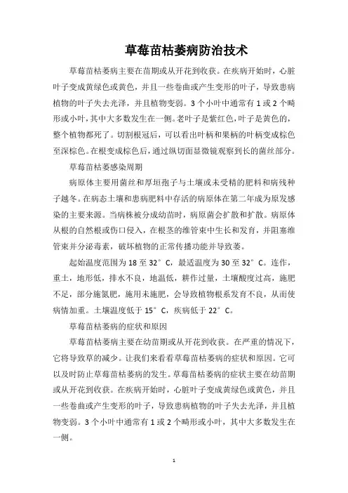 草莓苗枯萎病防治技术