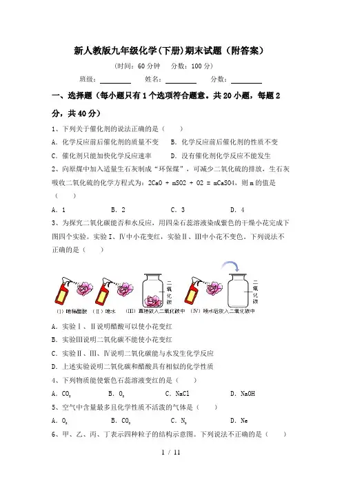 新人教版九年级化学(下册)期末试题(附答案)