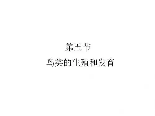 苏教版生物八年级下册21.5《鸟类的生殖与发育》ppt课件