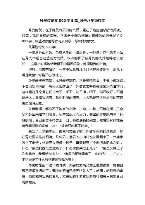 风景议论文800字5篇_风景八年级作文