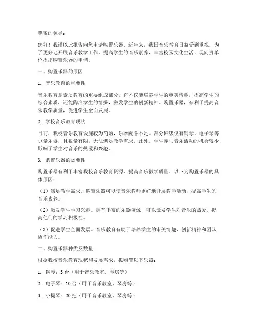 购置乐器申请报告
