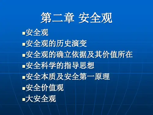 安全学原理(二)