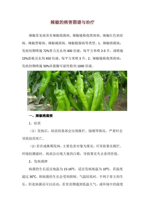 辣椒的病害图谱与治疗