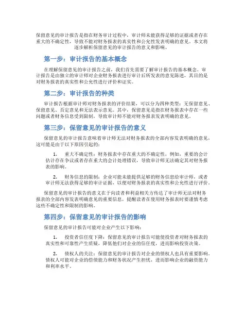 保留意见的审计报告是什么意思