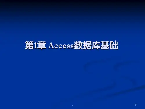 ACCESS数据库基础PPT课件