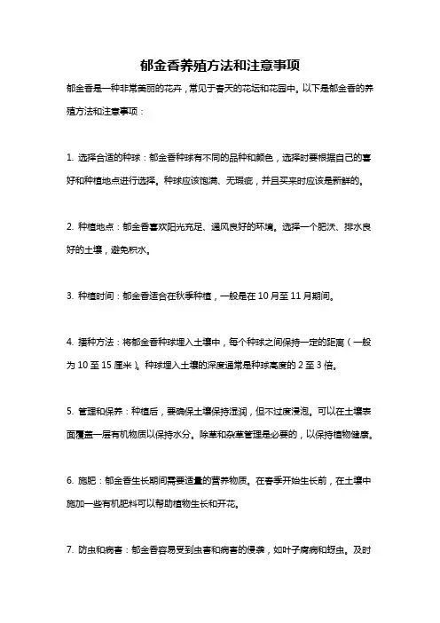 郁金香养殖方法和注意事项