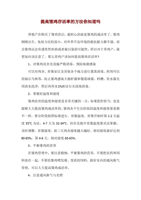提高雏鸡存活率的方法你知道吗
