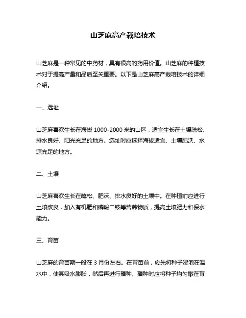 山芝麻高产栽培技术