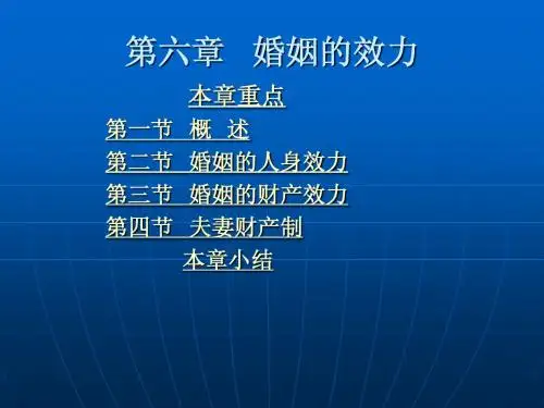 第六章 婚姻的效力