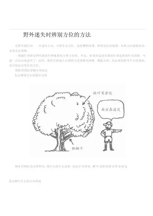 野外迷失时辨别方位的方法[资料]