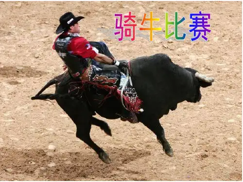 骑牛比赛_