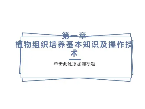 植物组织培养的基本知识及操作技术