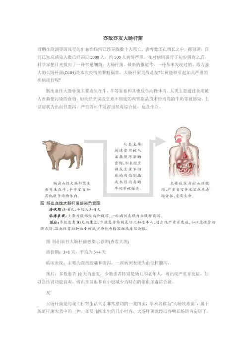 亦敌亦友大肠杆菌