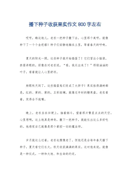 播下种子收获果实作文800字左右