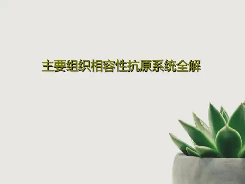 主要组织相容性抗原系统全解PPT40页
