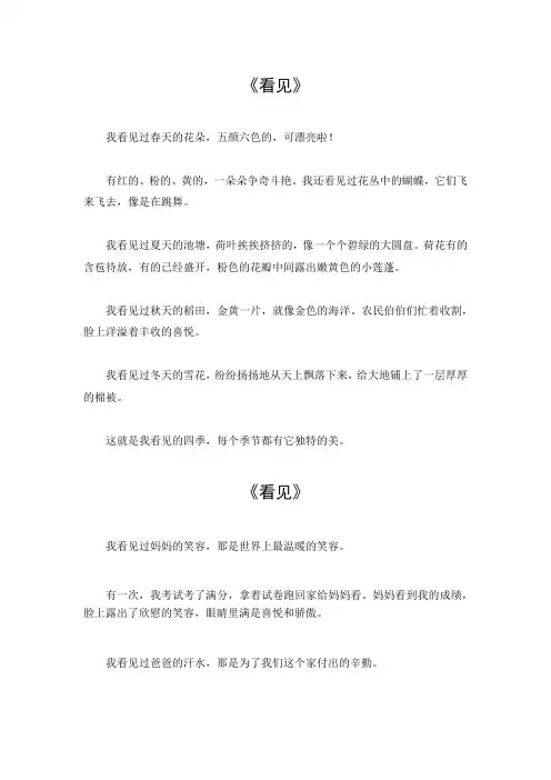 以看见为题的作文600字八年级