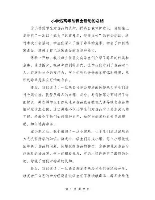 小学远离毒品班会活动的总结