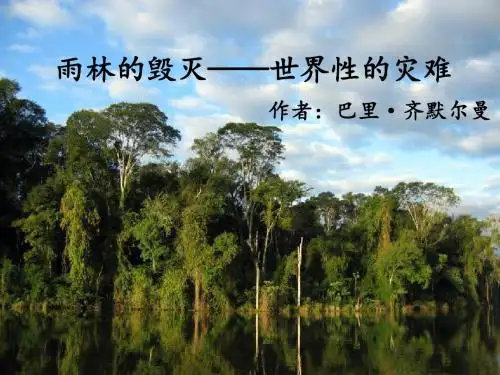 《雨林的毁灭——世界性灾难》课件