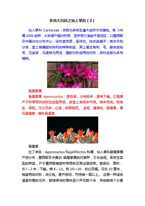 多肉大百科之仙人掌科（3）