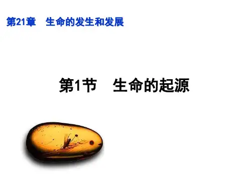 生物八年级下北师大版7.21.1 生命起源课件(24张)