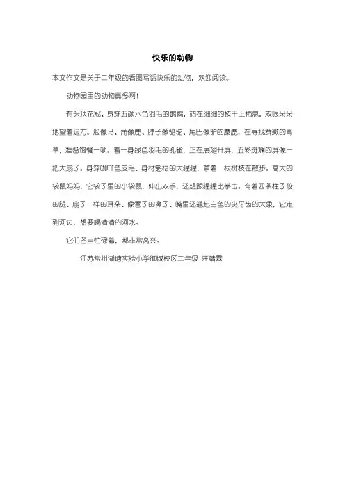 小学二年级看图写话：快乐的动物