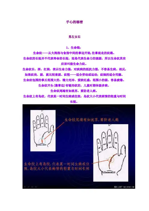 手心的秘密