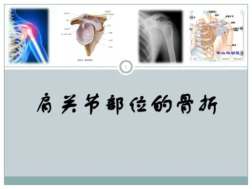 肩关节ppt课件