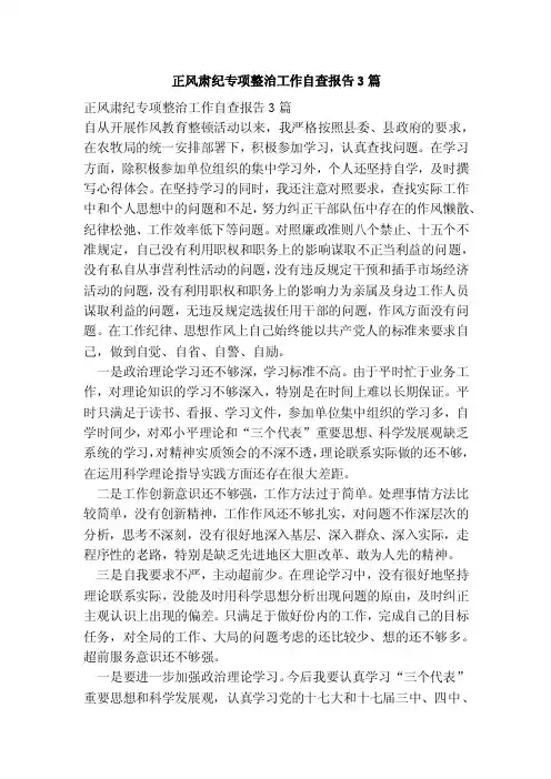 正风肃纪专项整治工作自查报告3篇