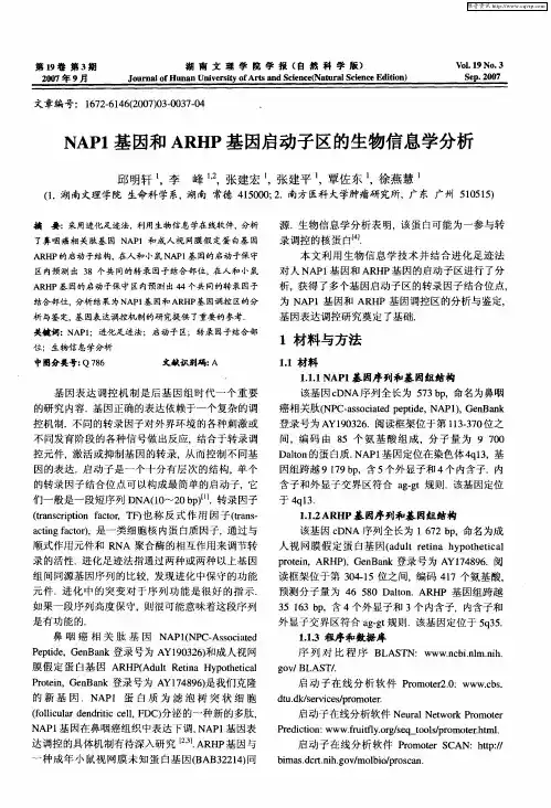 NAP1基因和ARHP基因启动子区的生物信息学分析