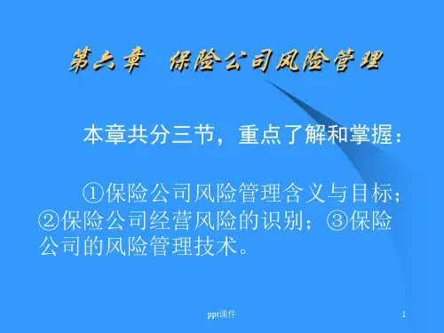 保险公司风险管理  ppt课件