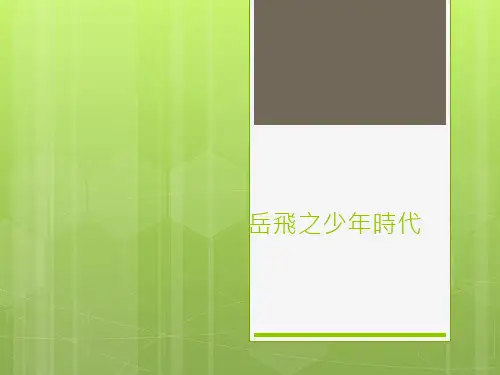 岳飞之少年时代_2012