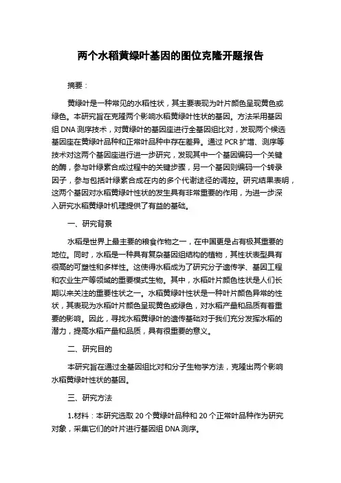 两个水稻黄绿叶基因的图位克隆开题报告