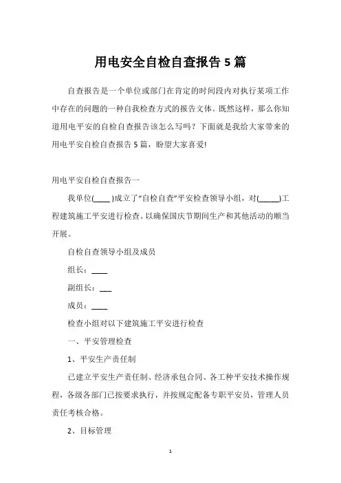 用电安全自检自查报告5篇