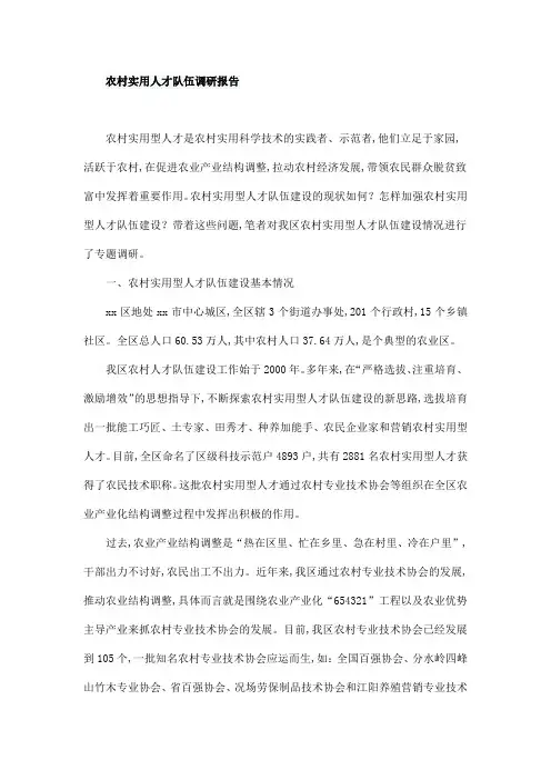 农村实用人才队伍调研报告