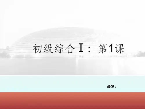 发展汉语初级综合ppt课件