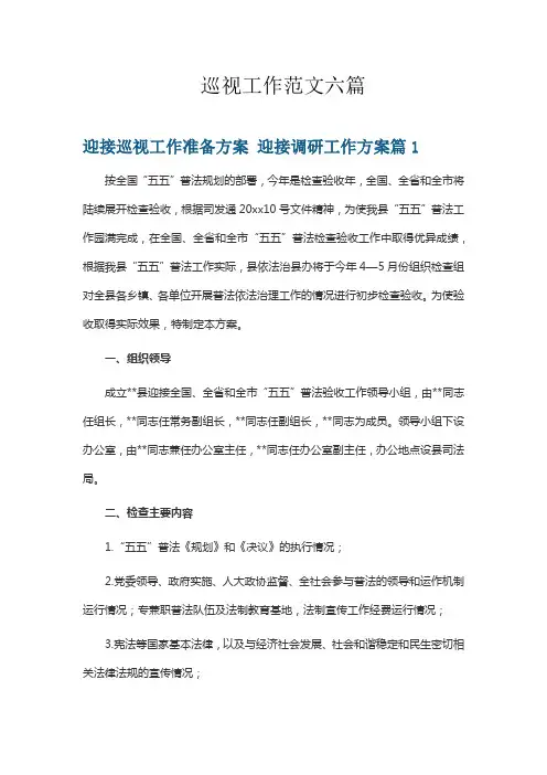 巡视工作范文六篇