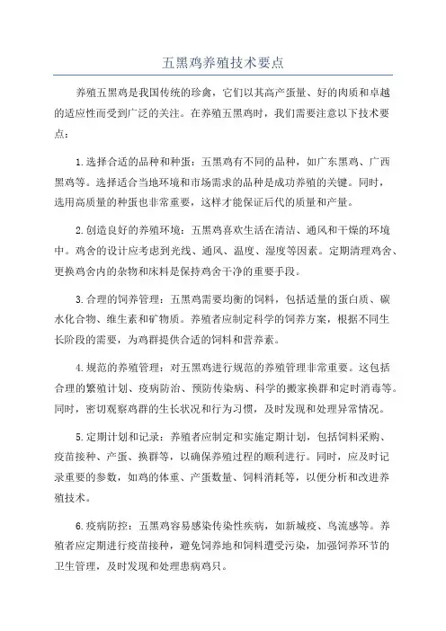 五黑鸡养殖技术要点
