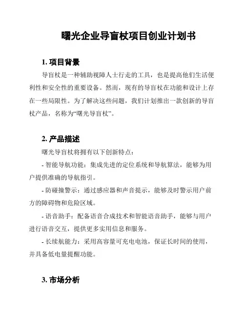 曙光企业导盲杖项目创业计划书