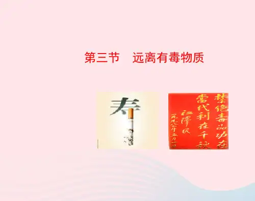九年级化学下册第十单元第三节远离有毒物质课件鲁教版