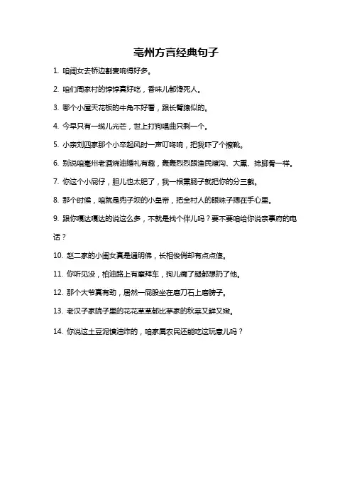 亳州方言经典句子