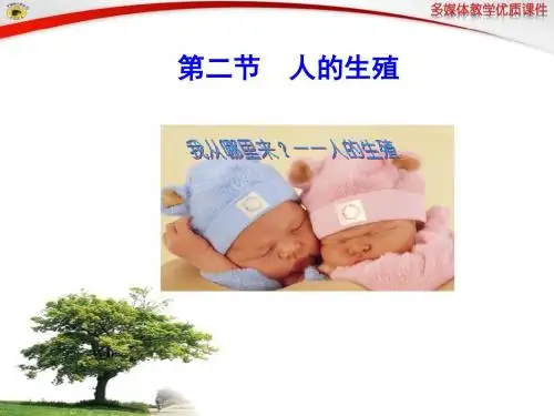 第二节  人的生殖PPT
