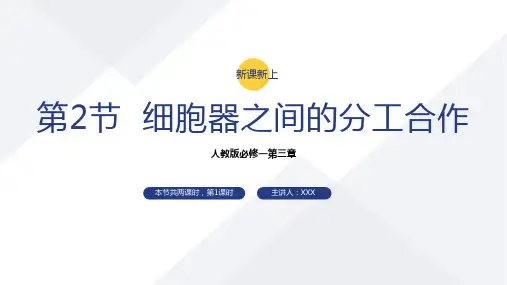 3.2细胞器之间的分工合作(第一课时)
