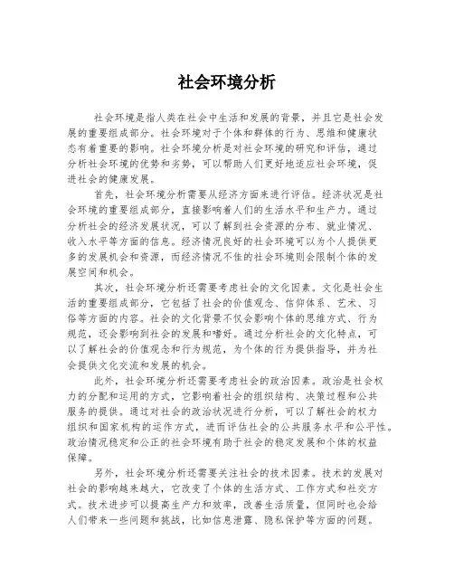 社会环境分析