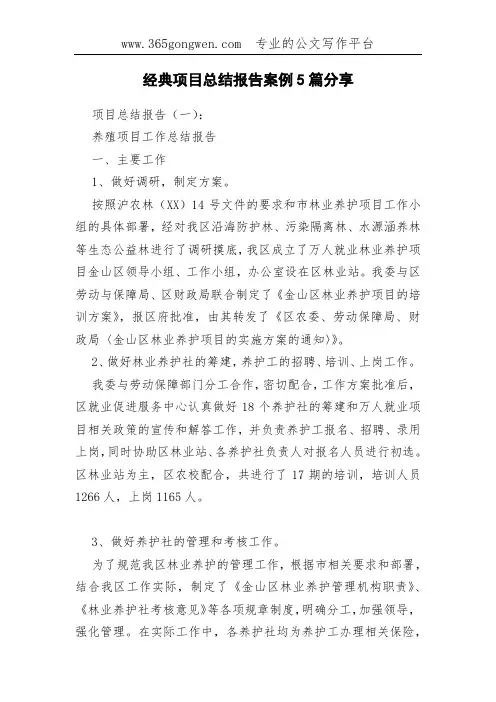 经典项目总结报告案例5篇分享