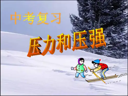 压力和压强复习PPT课件(初中科学)