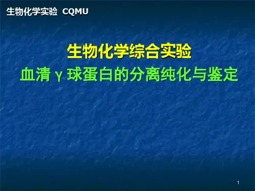 【生物化学实验】血清γ球蛋白分离纯化与鉴定PPT课件