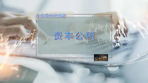 资 本 公 积