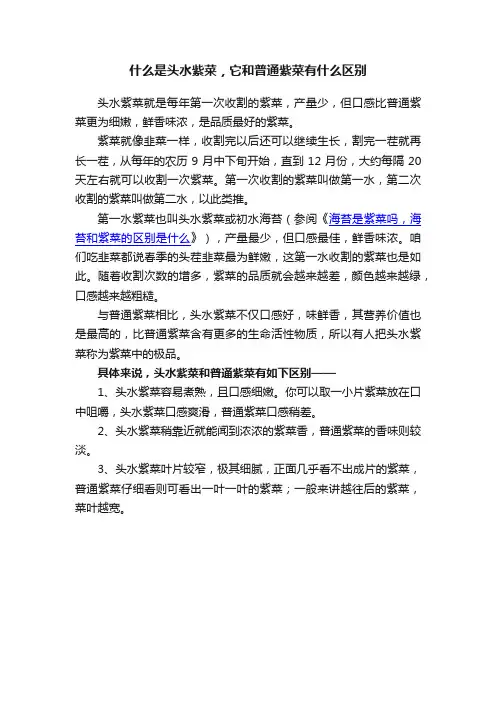 什么是头水紫菜，它和普通紫菜有什么区别