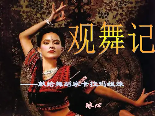 观舞记PPT课件