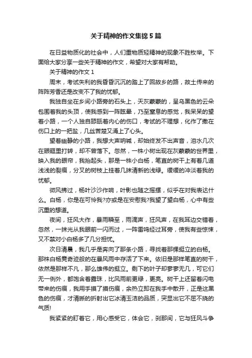 关于精神的作文集锦5篇